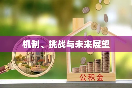 古县机制、挑战与未来展望
